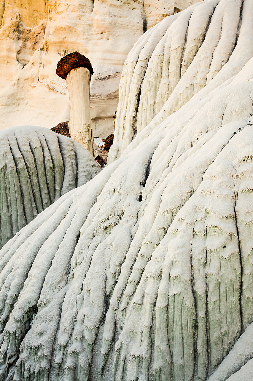 #120126-1 - Valley of the White Ghosts, Grand Staircase-Escalante National Monument, Utah, USA