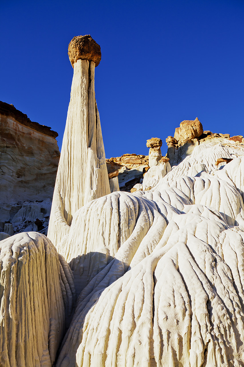 #120130-1 - Valley of the White Ghosts, Grand Staircase-Escalante National Monument, Utah, USA