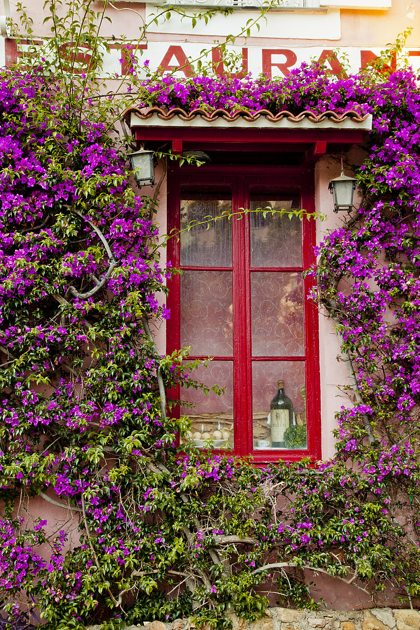 #120136-2 - Bougainvillea & Window, Roquebrune Cap Martin, Cote d'Azur, France