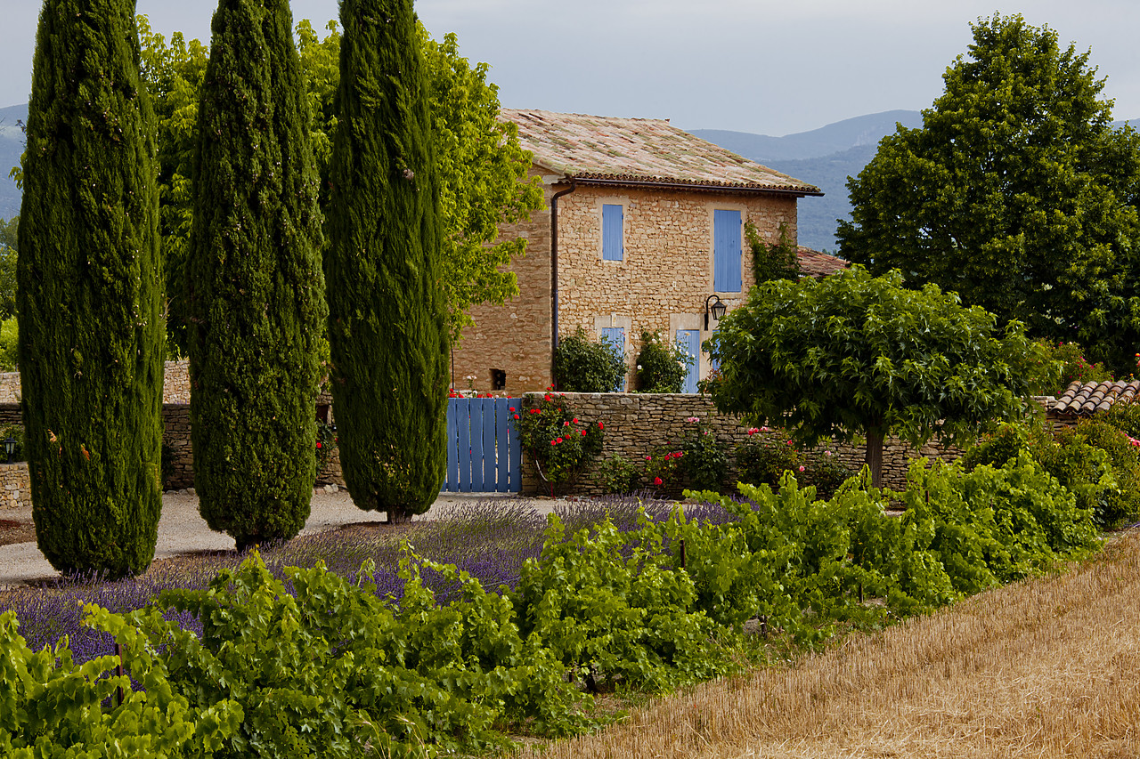 #120168-1 - Farmhouse, near Roussillon, Provence, France