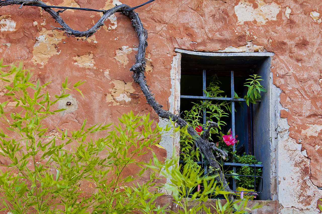 #120171-1 - Window, Roussillon, Provence, France