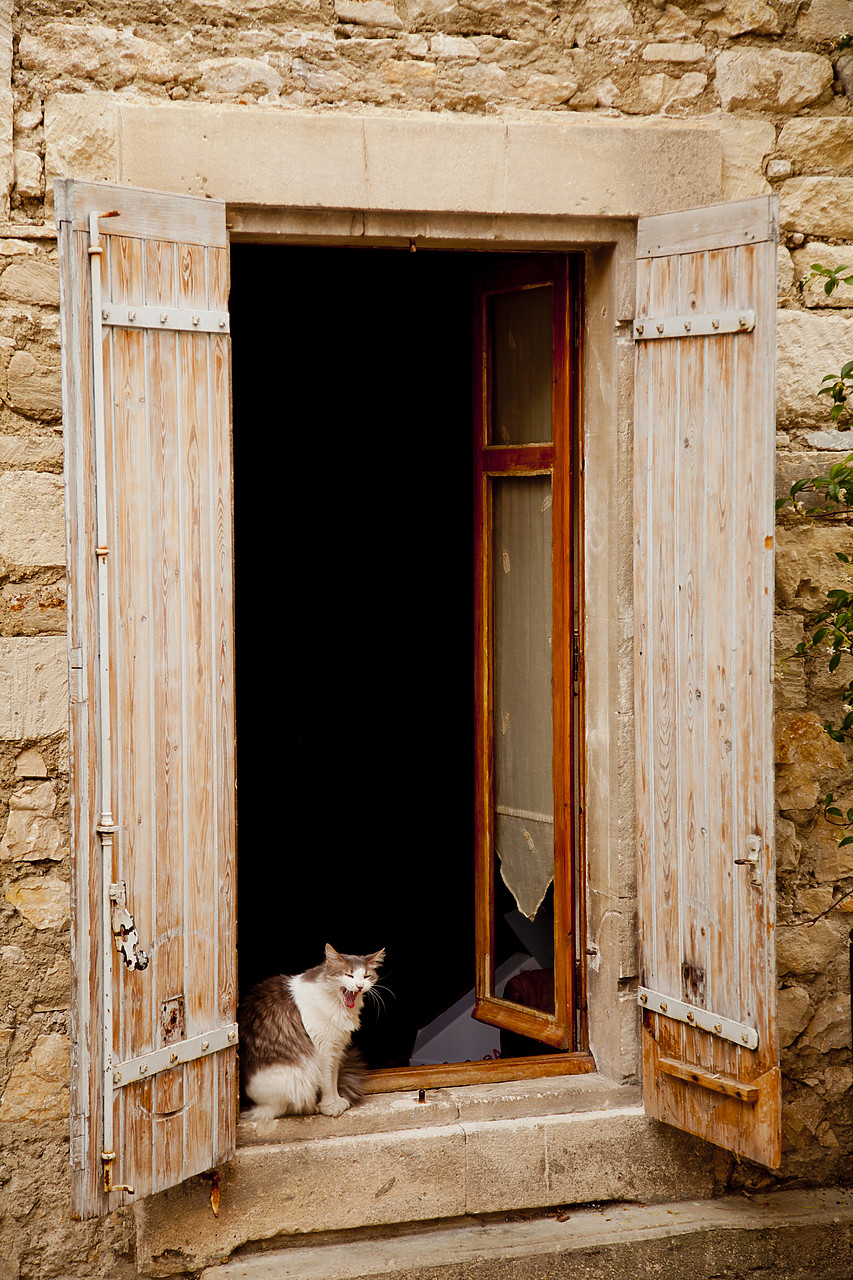 #120177-1 - Cat in Window, Saint Remy de Provence, France