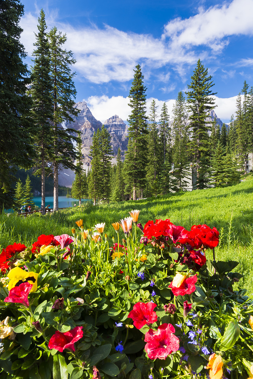 #120203-2 - Moraine Lake, Banff National Park, Alberta, Canada