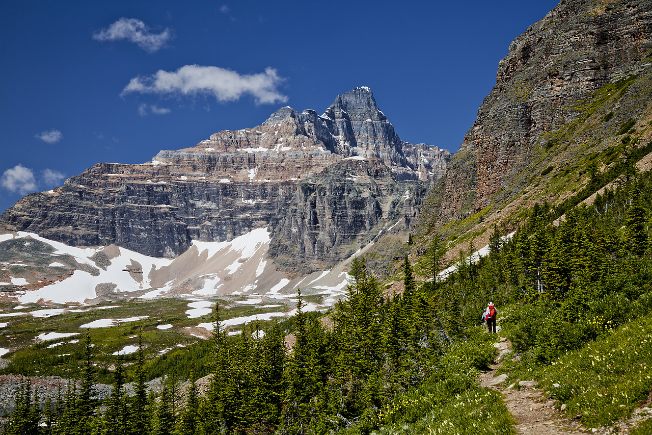 #120207-1 - Hikers on Trail to Eiffel Peak, Banff National Park, Alberta, Canada