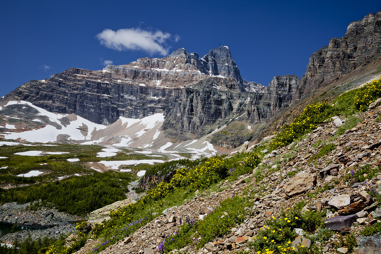 #120208-1 - Eiffel Peak, Banff National Park, Alberta, Canada