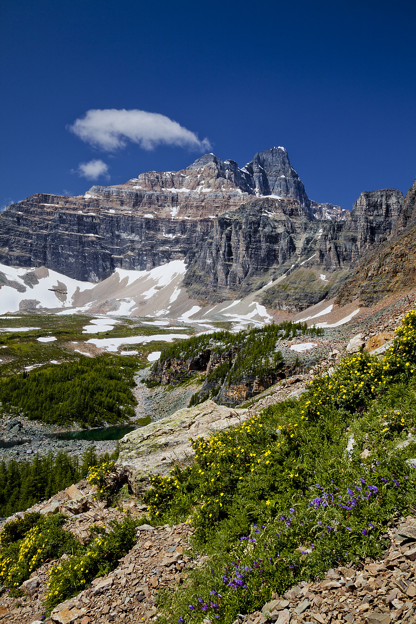 #120208-2 - Eiffel Peak, Banff National Park, Alberta, Canada