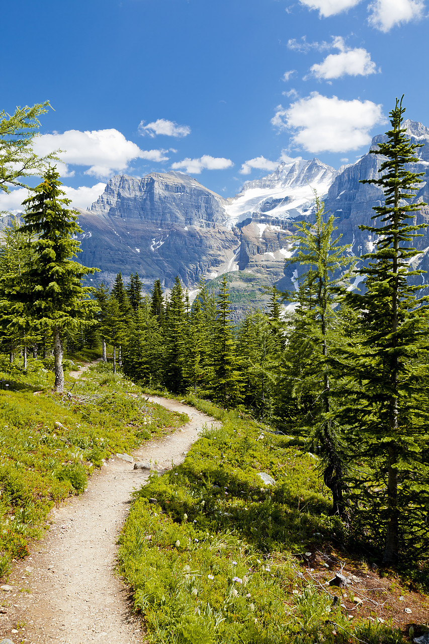 #120211-1 - Footpath through Valley of the Ten Peaks, Banff National Park, Alberta, Canada