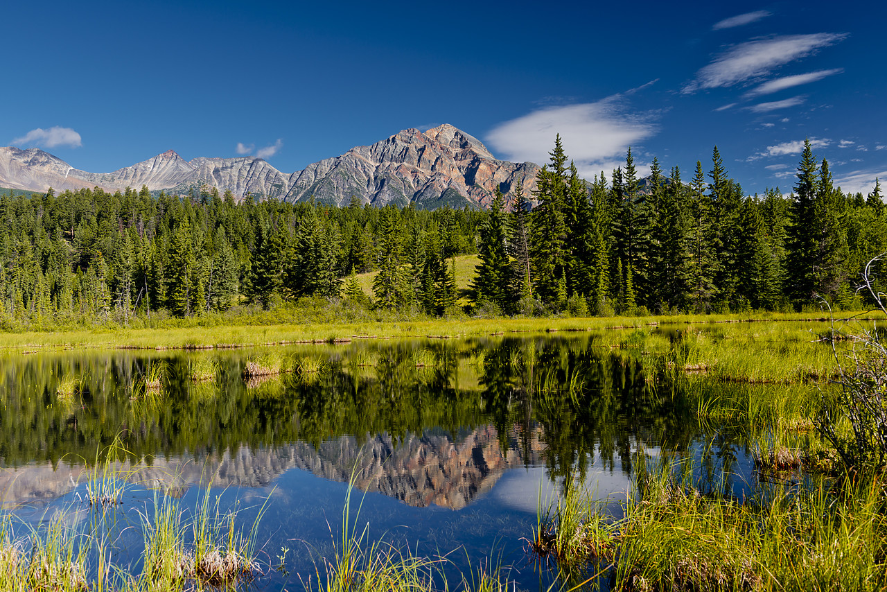 #120231-1 - Pyramid Mountain Reflecting in Cottonwood Slough, Jasper National Park, Alberta, Canada