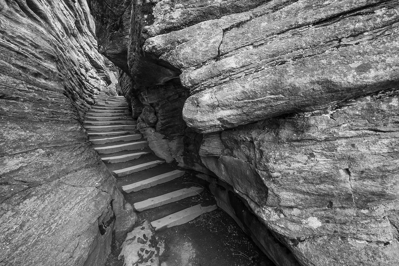 #120235-1 - Steps to Athabasca River, Jasper National Park, Alberta, Canada