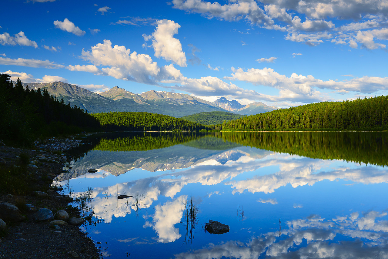 #120237-1 - Patricia Lake Reflections, Jasper National Park, Alberta, Canada