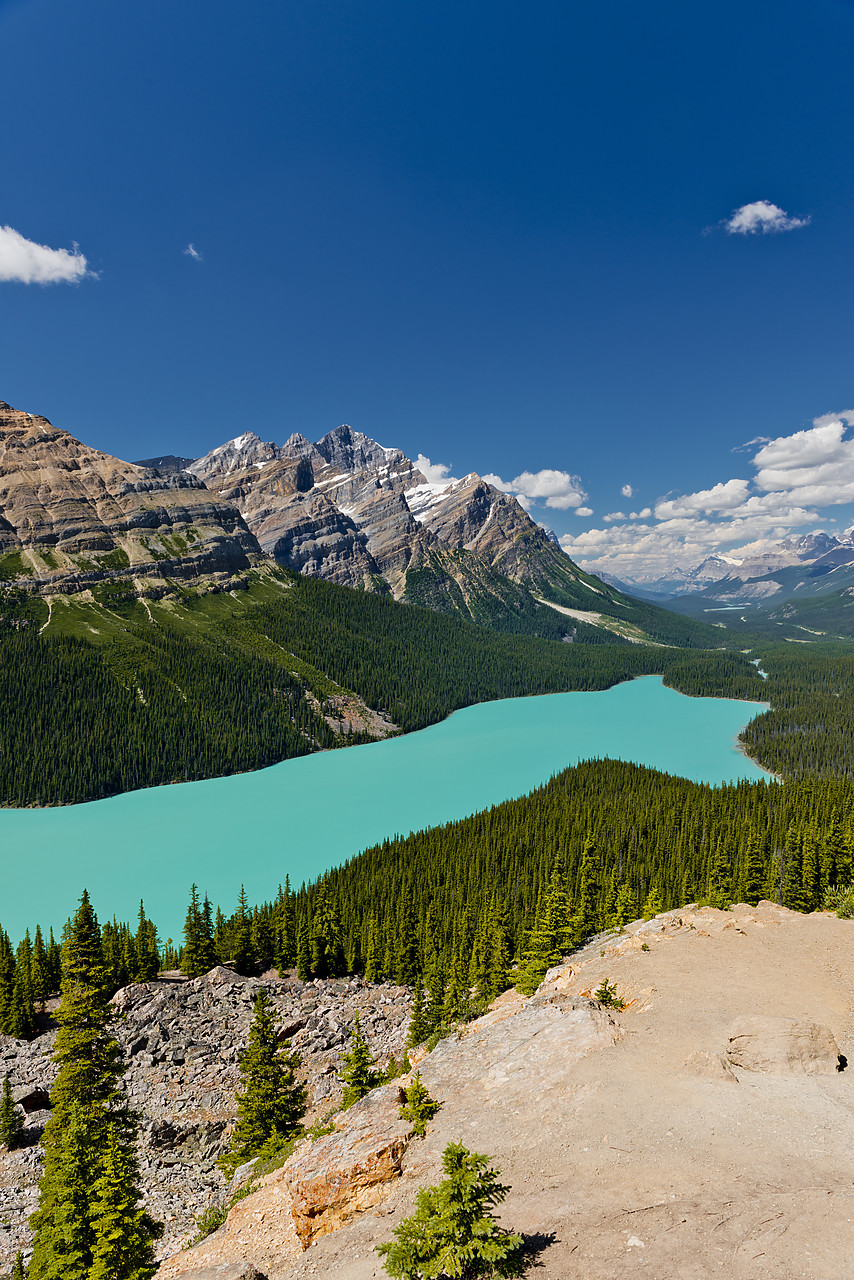 #120241-2 - Peyto Lake, Banff National Park, Alberta, Canada