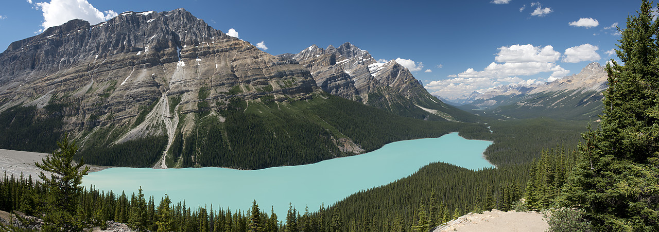 #120242-1 - Peyto Lake, Banff National Park, Alberta, Canada