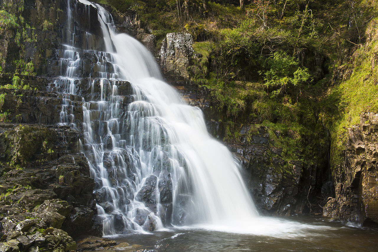 #120301-1 - Pistyll Cain Waterfall, Coed y Brenin Forest, Gwynedd, North Wales