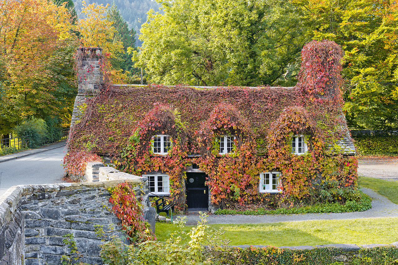 #120303-1 - Cottage in Autumn, LLyanwrst, Conwy, Wales