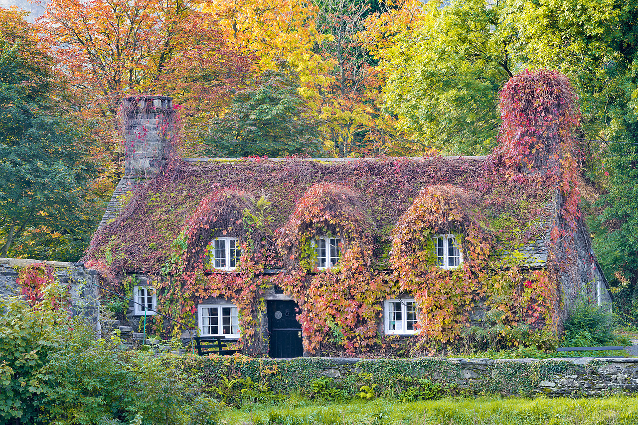 #120304-1 - Cottage in Autumn, LLyanwrst, Conwy, Wales