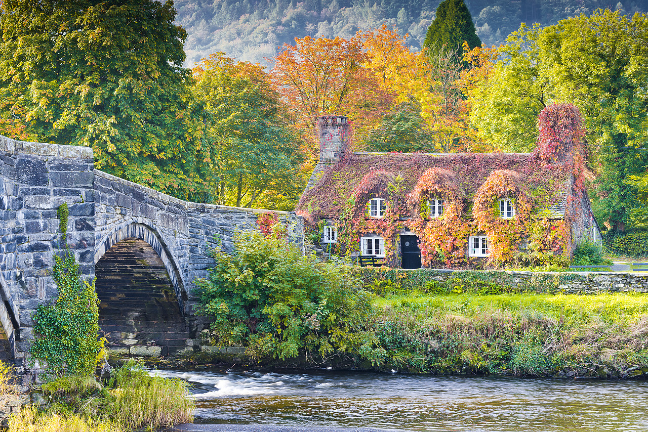 #120305-1 - Cottage & Bridge in Autumn, LLyanwrst, Conwy, Wales