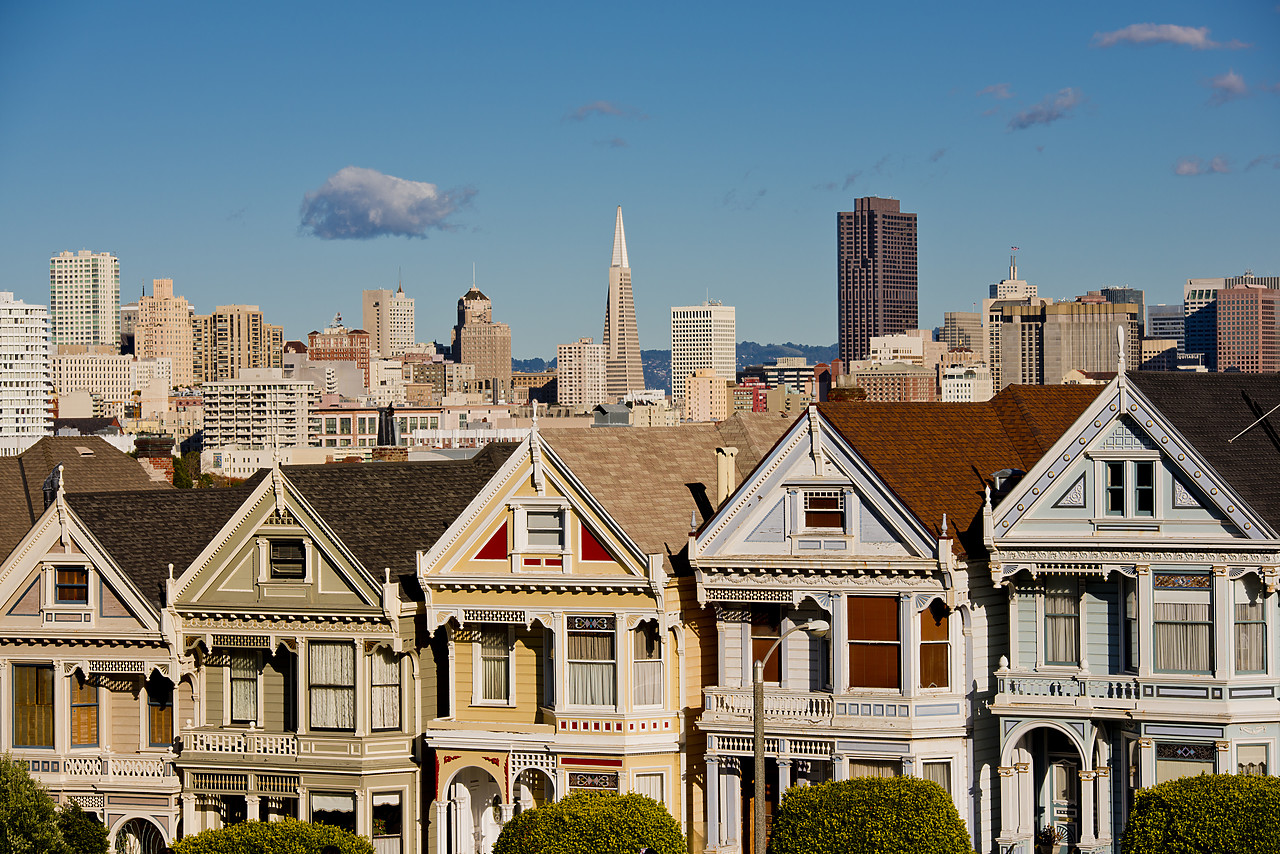 #120322-1 - Victorian Houses & Skyline, San Francisco, California, USA