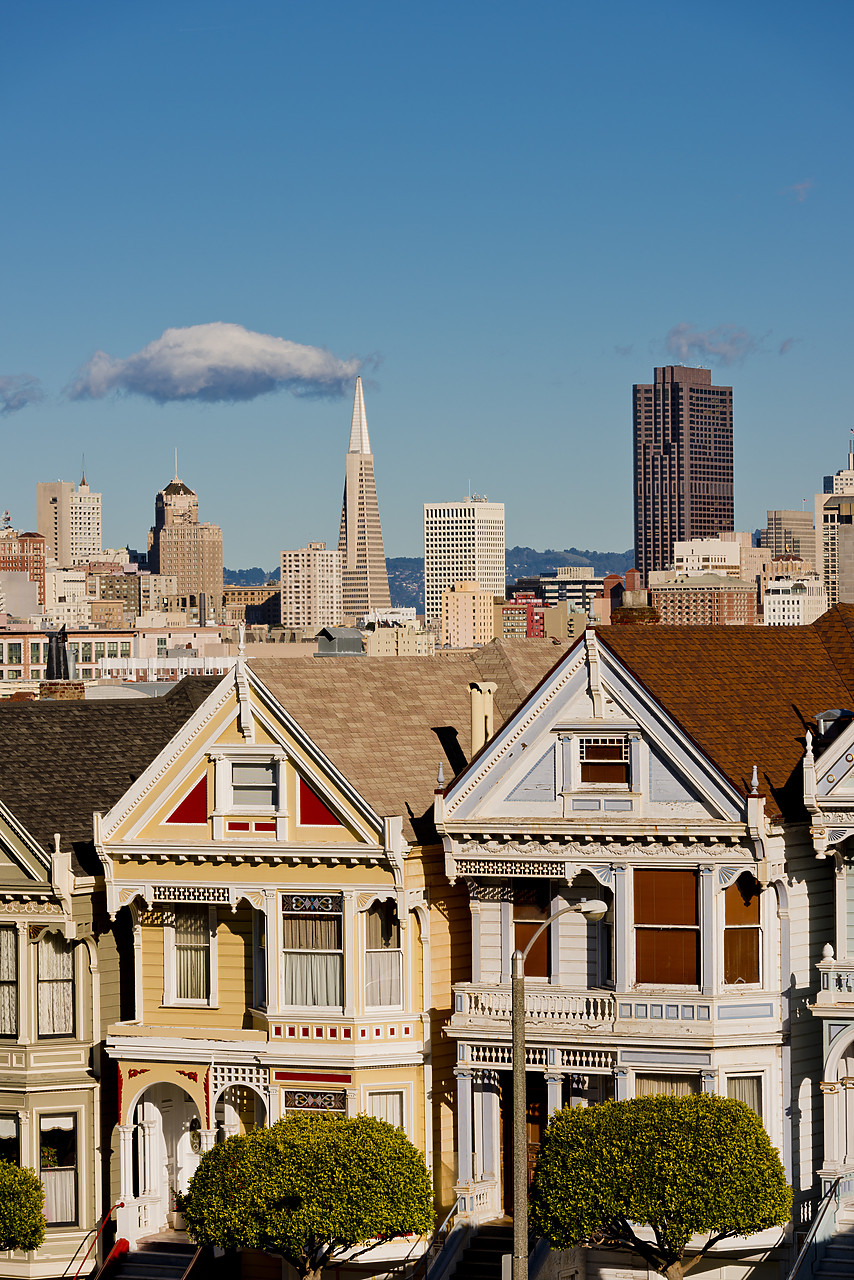 #120322-2 - Victorian Houses & Skyline, San Francisco, California, USA