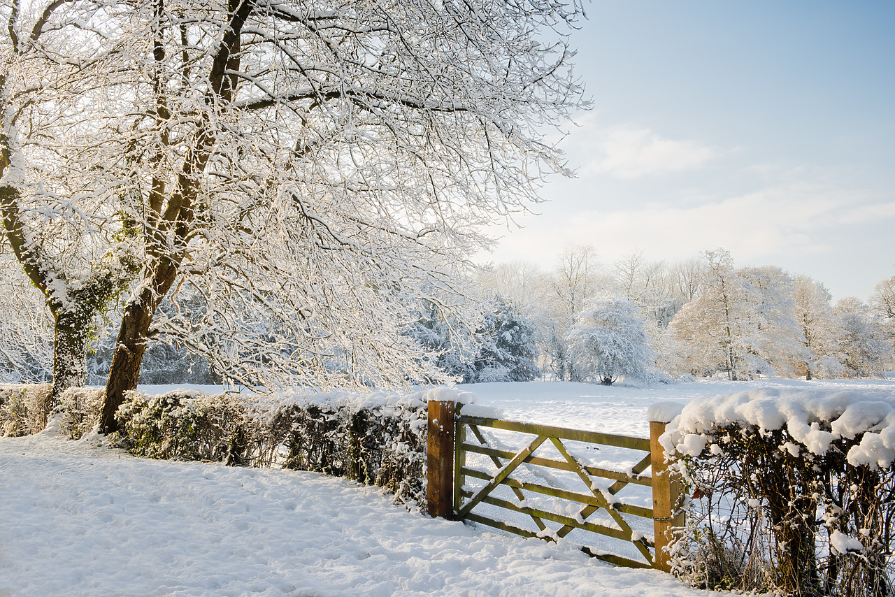 #130029-1 - Country Gate in Winter, Norfolk, England