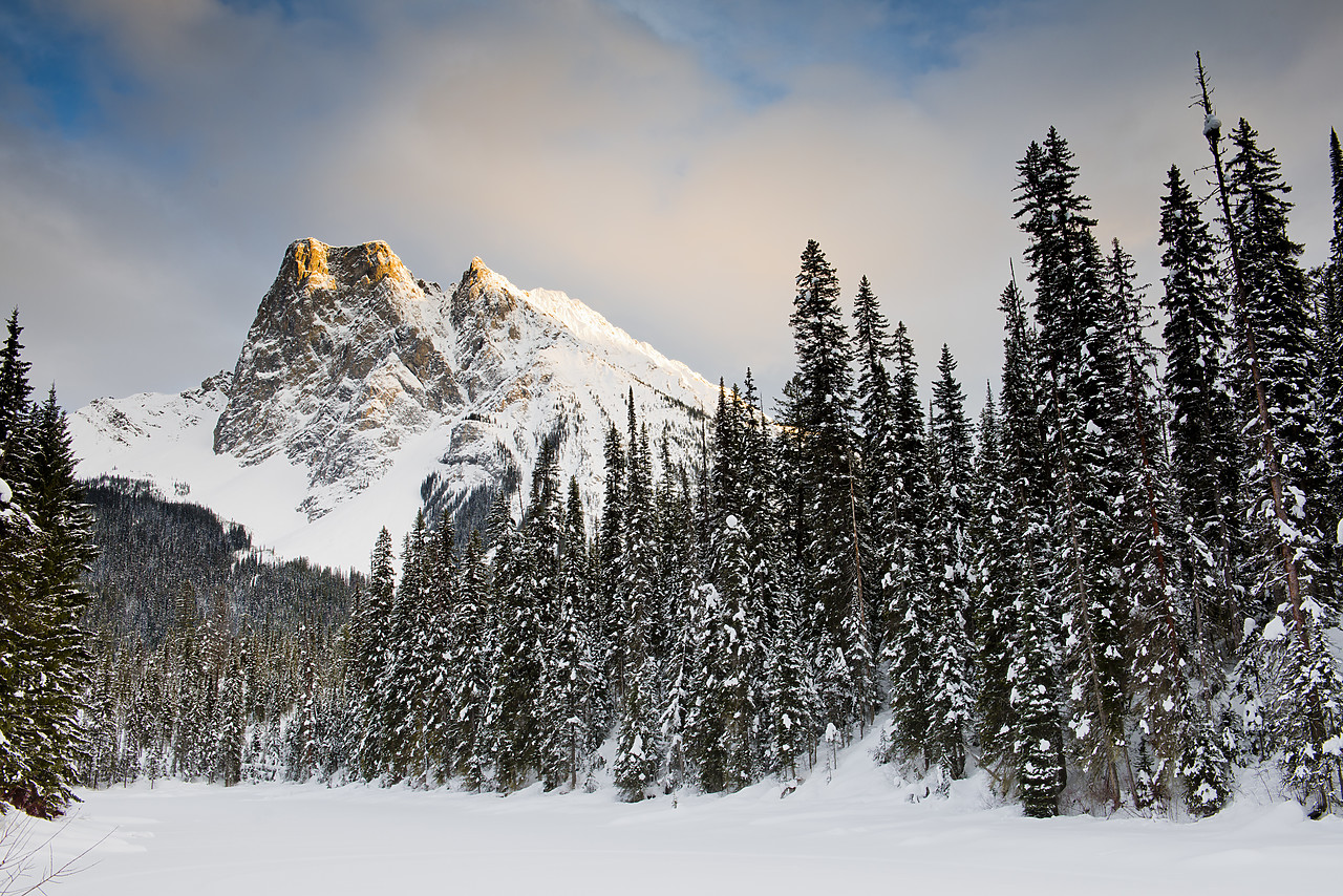 #130075-1 - Mt. Burgess In Winter, Yoho National Park, BC, Canada