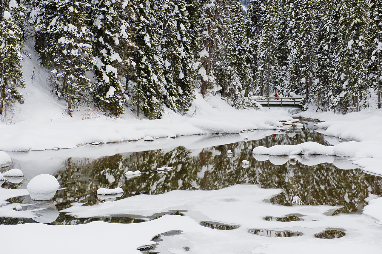 #130076-1 - Man on Bridge in Winter, Emerald Lake, Yoho National Park, BC, Canada