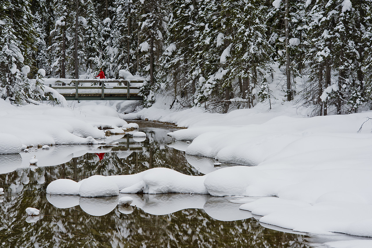 #130077-1 - Man on Bridge in Winter, Emerald Lake, Yoho National Park, BC, Canada