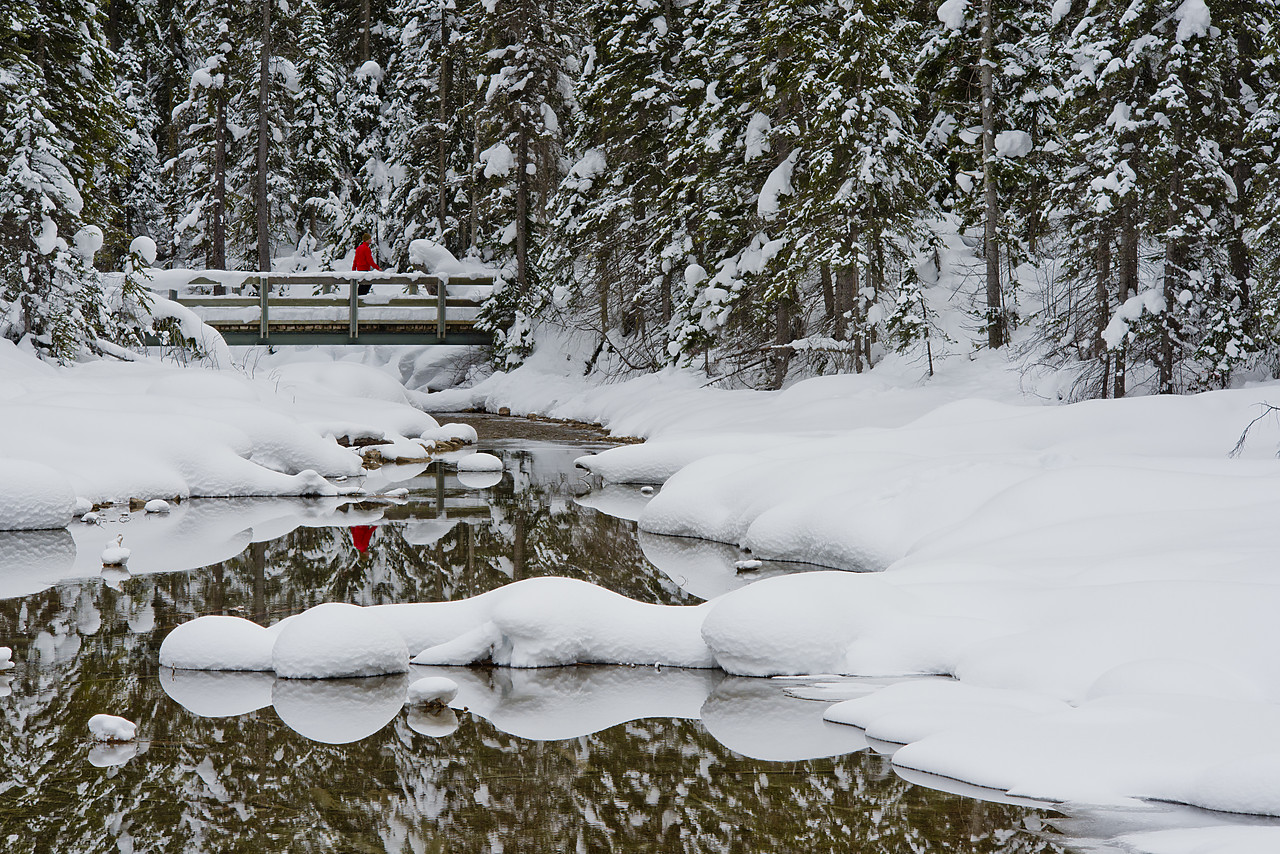 #130077-2 - Man on Bridge in Winter, Emerald Lake, Yoho National Park, BC, Canada