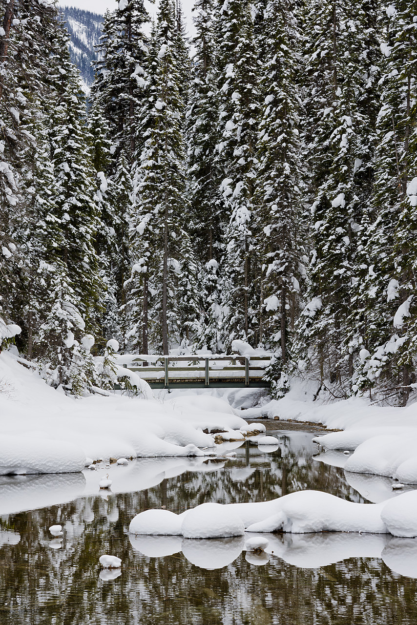 #130078-1 - Bridge in Winter, Emerald Lake, Yoho National Park, BC, Canada