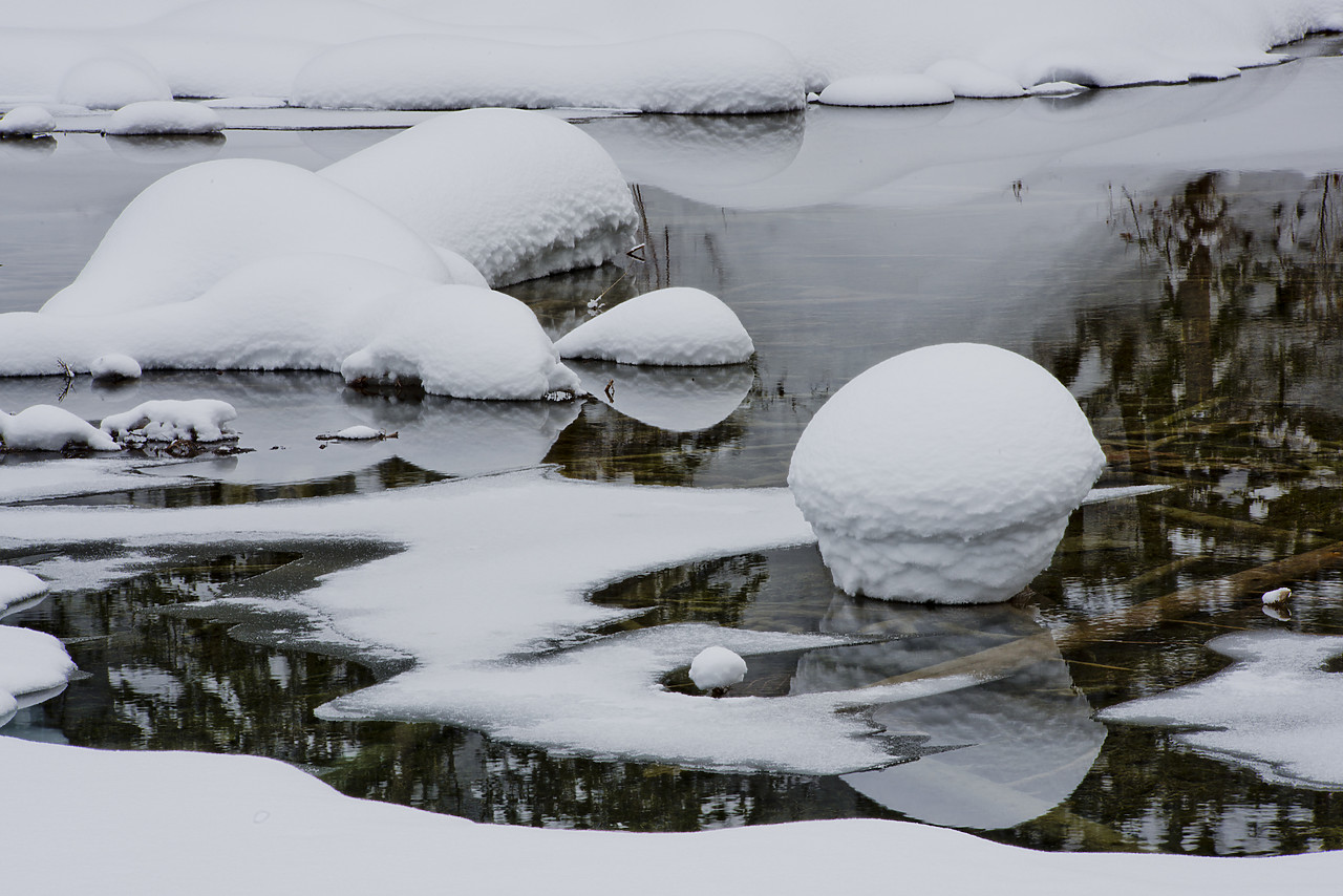 #130079-1 - Emerald Lake Details in Winter, Yoho National Park, BC, Canada