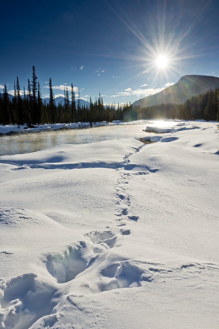 #130084-1 - Sun Rising over Bow River in Winter, Banff National Park, Alberta, Canada