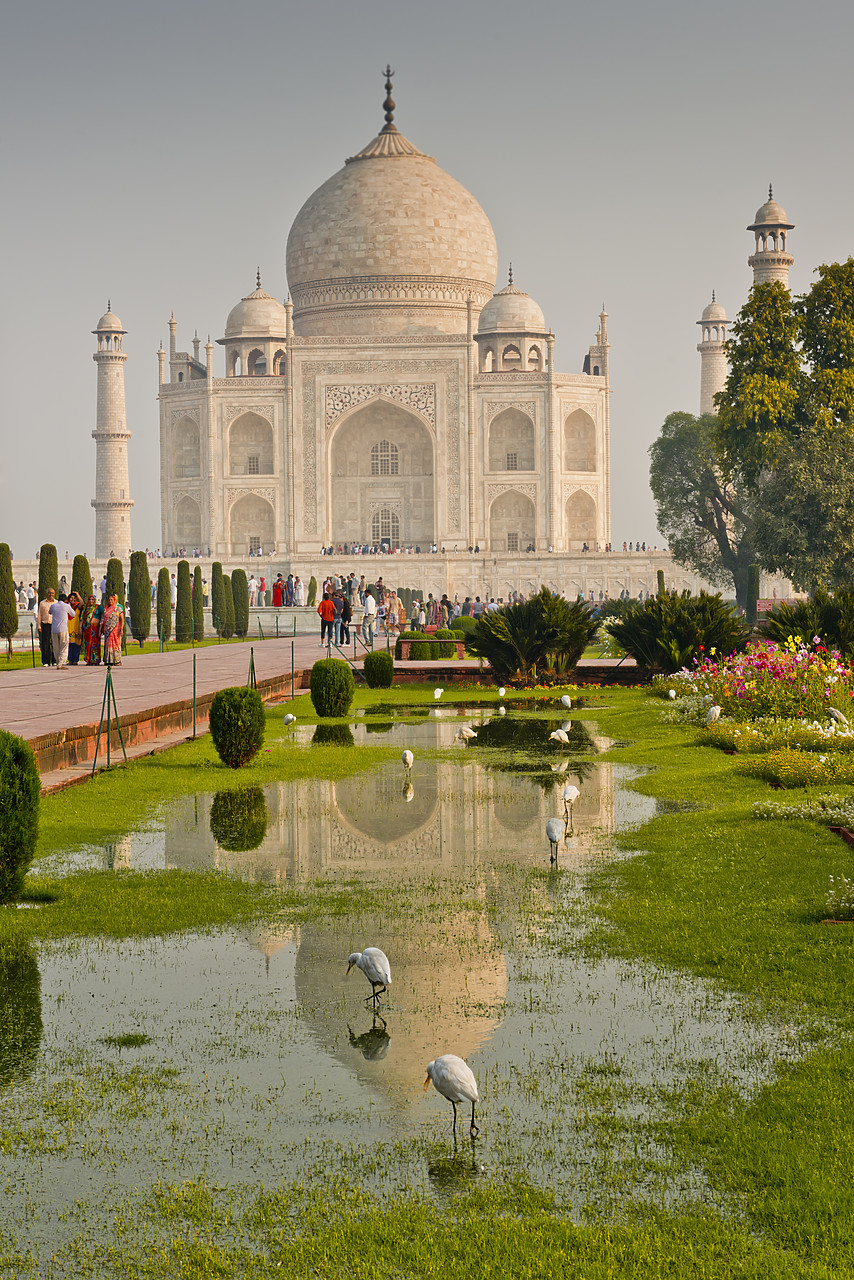 #130156-1 - Taj Mahal,  Agra, Uttar Pradesh, India