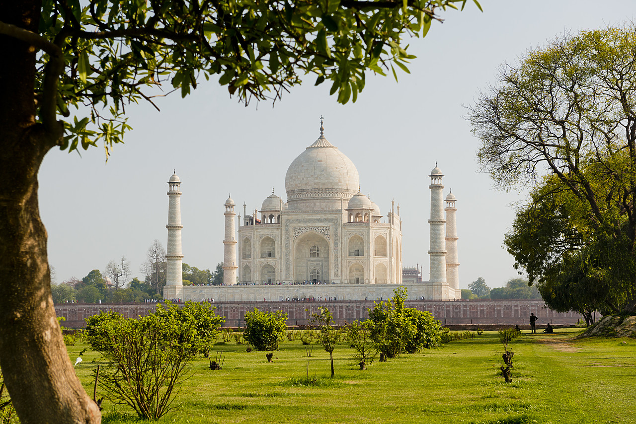 #130161-1 - Taj Mahal,  Agra, Uttar Pradesh, India