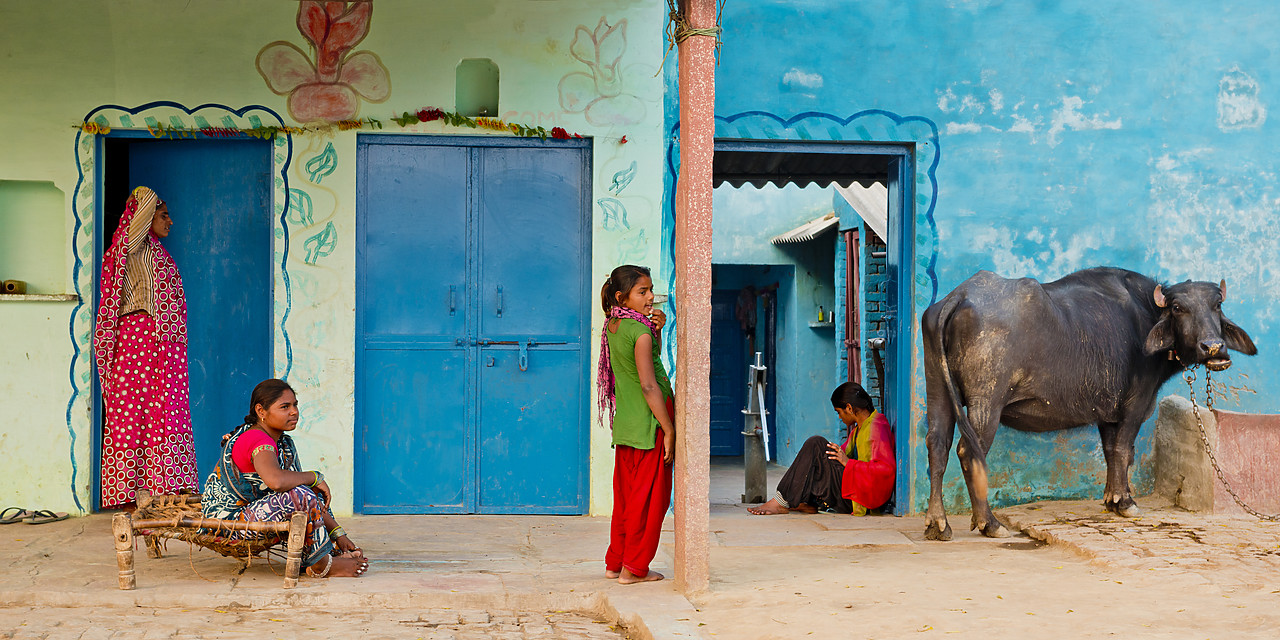 #130176-1 - Indian Family & Sacred Cow, near Agra, India