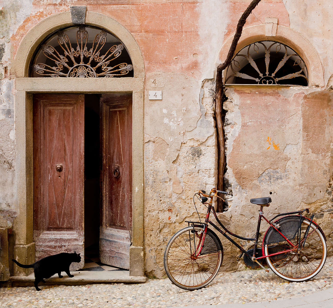 #130184-1 - Bike & Black Cat, Monterosso al Mare, Cinque Terre, Liguria, Italy