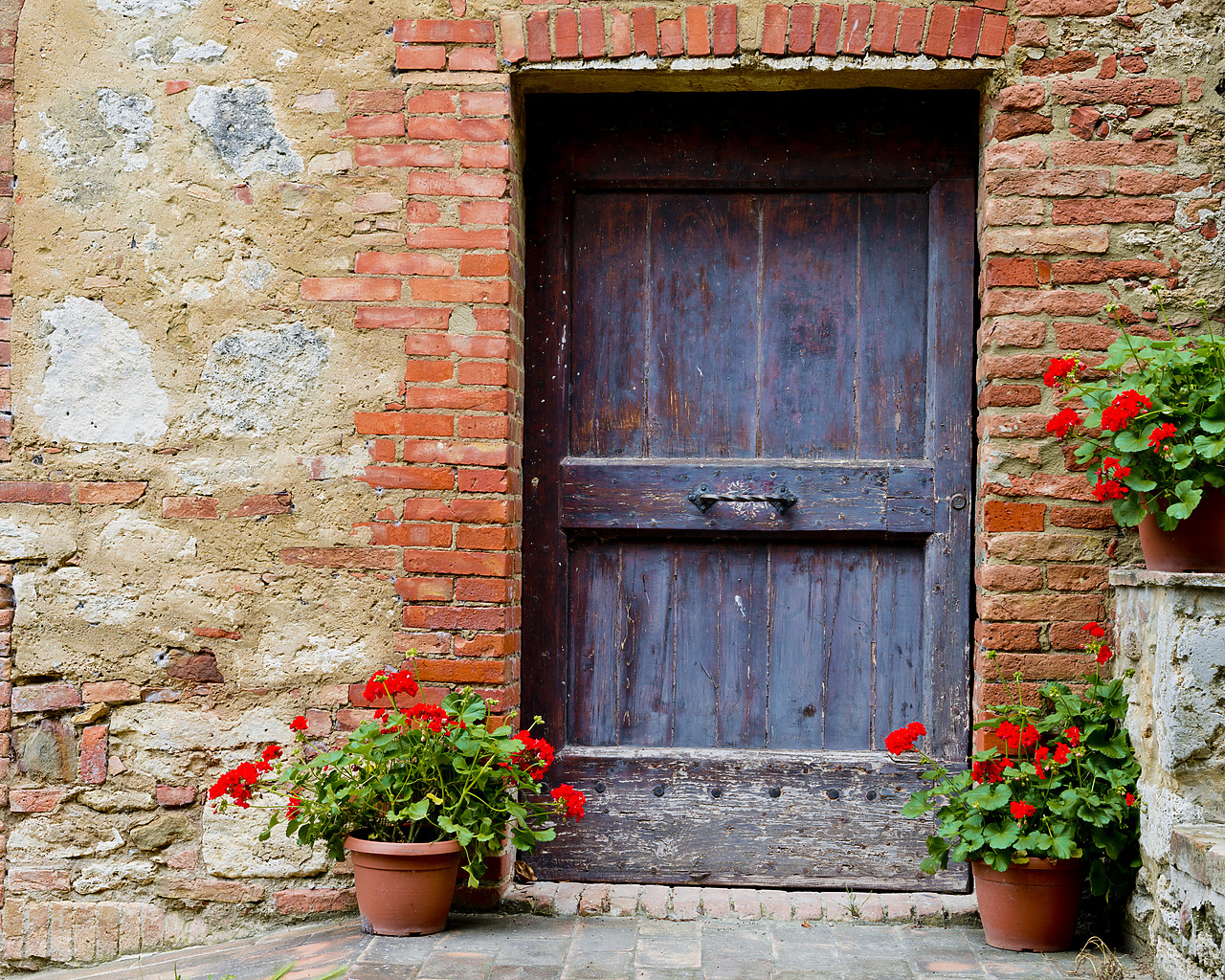 #130188-1 - Door & Geraniums, Lucignano d'asso, Tuscany, Italy