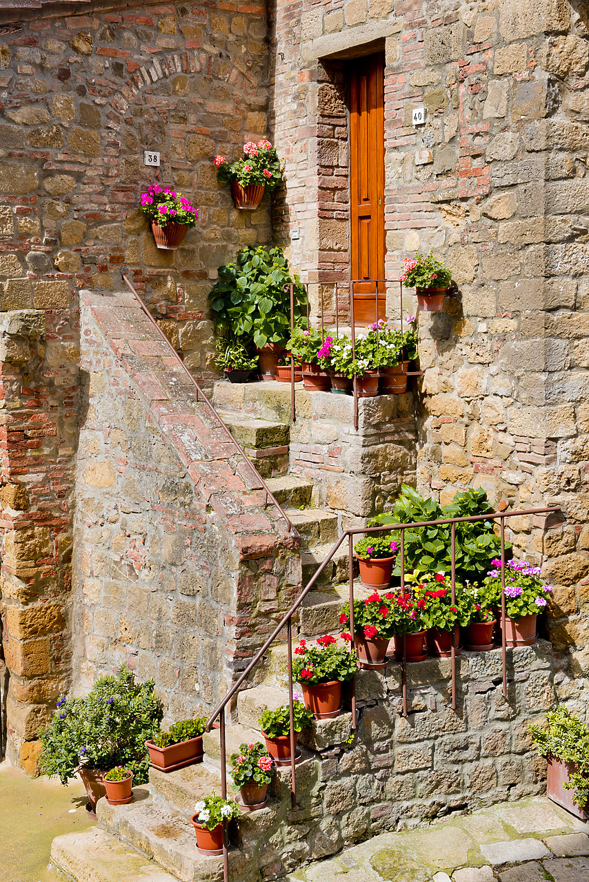 #130190-1 - Stone Steps & Flowerpots, Monticchiello, Tuscany, Italy