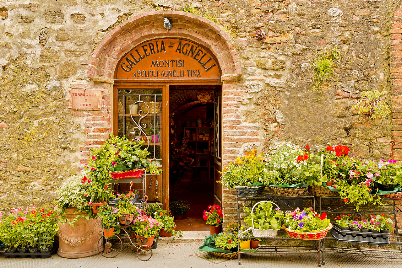 #130193-1 - Flower Shop,  Montisi, Tuscany, Italy