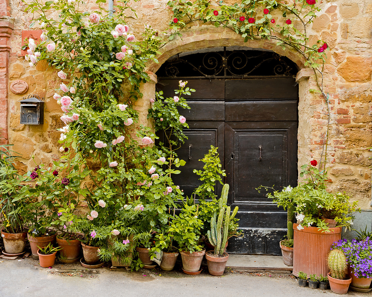 #130194-1 - Door & Flowerpots, Montisi, Tuscany, Italy