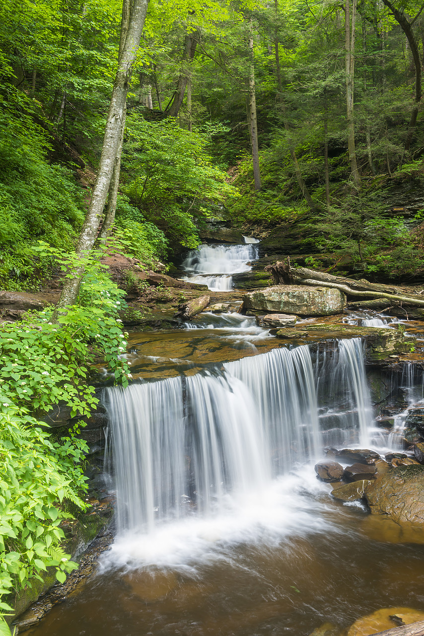 #130238-1 - Delaware Falls, Ricketts Glen State Park, Sullivan County, Pennsylvania, USA