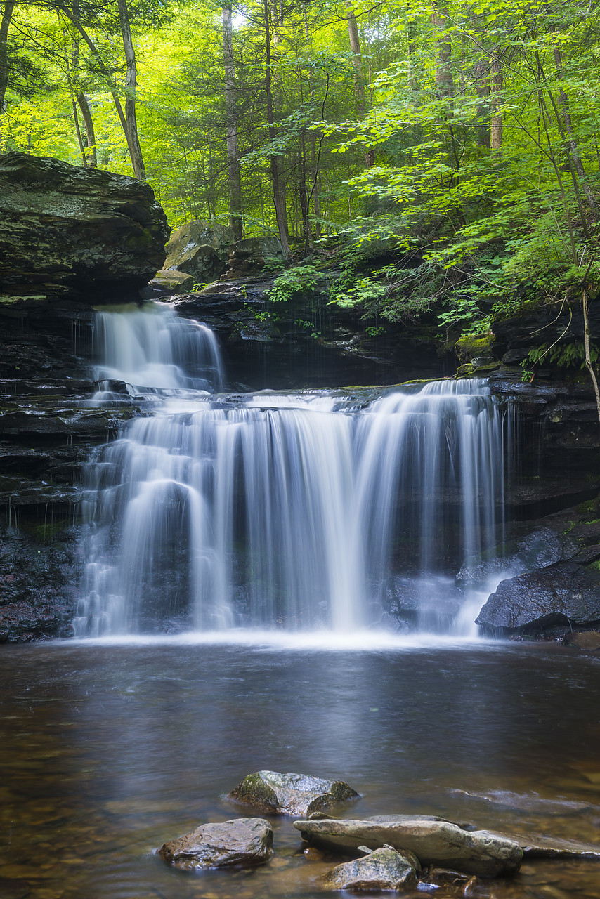 #130245-2 - R.B. Ricketts Falls, Ricketts Glen State Park, Sullivan County, Pennsylvania, USA