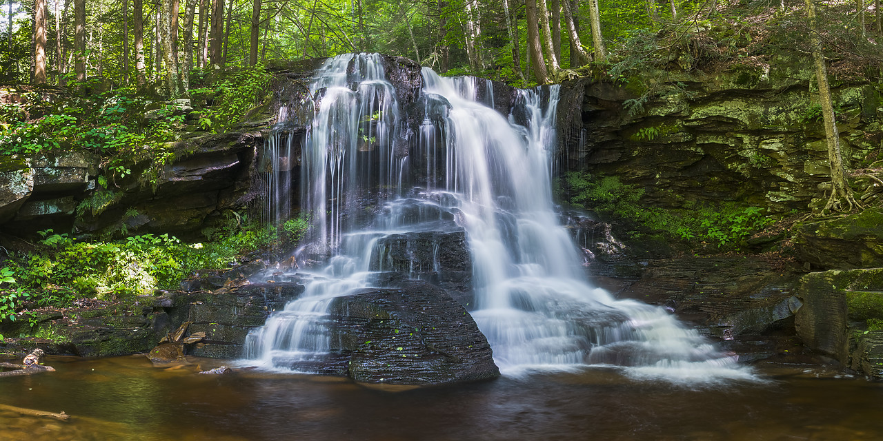 #130254-2 - Dry Run Falls, Wyoming State Forest, Sullivan County, Pennsylvania, USA