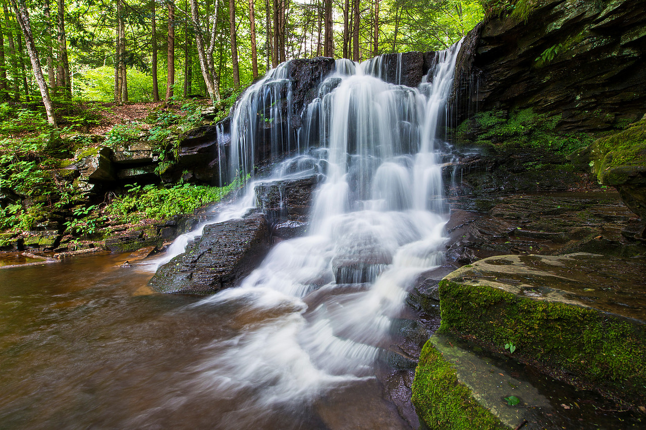 #130255-1 - Dry Run Falls, Wyoming State Forest, Sullivan County, Pennsylvania, USA