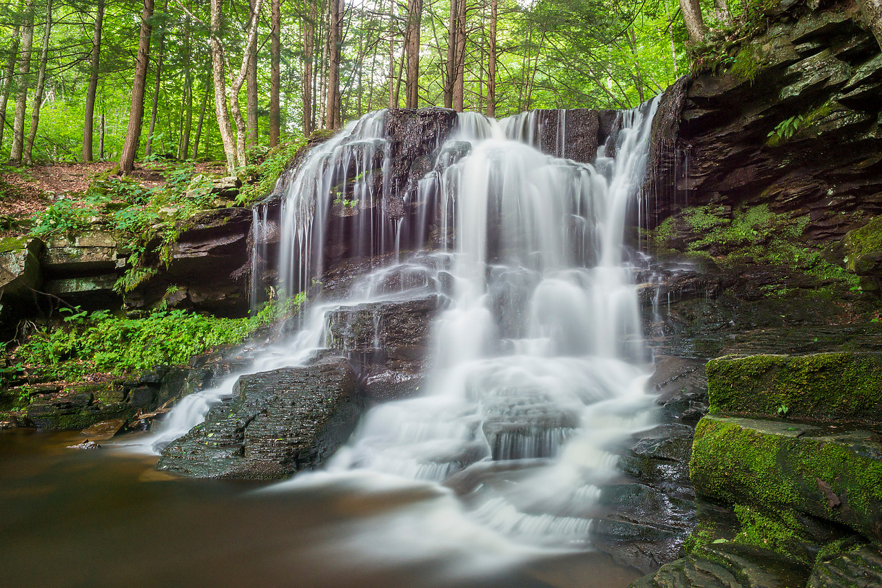 #130256-1 - Dry Run Falls, Wyoming State Forest, Sullivan County, Pennsylvania, USA