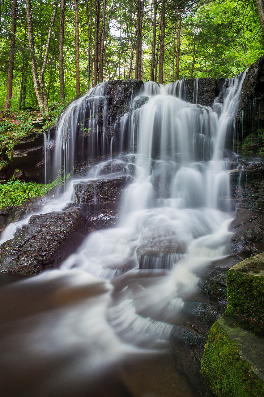 #130256-2 - Dry Run Falls, Wyoming State Forest, Sullivan County, Pennsylvania, USA