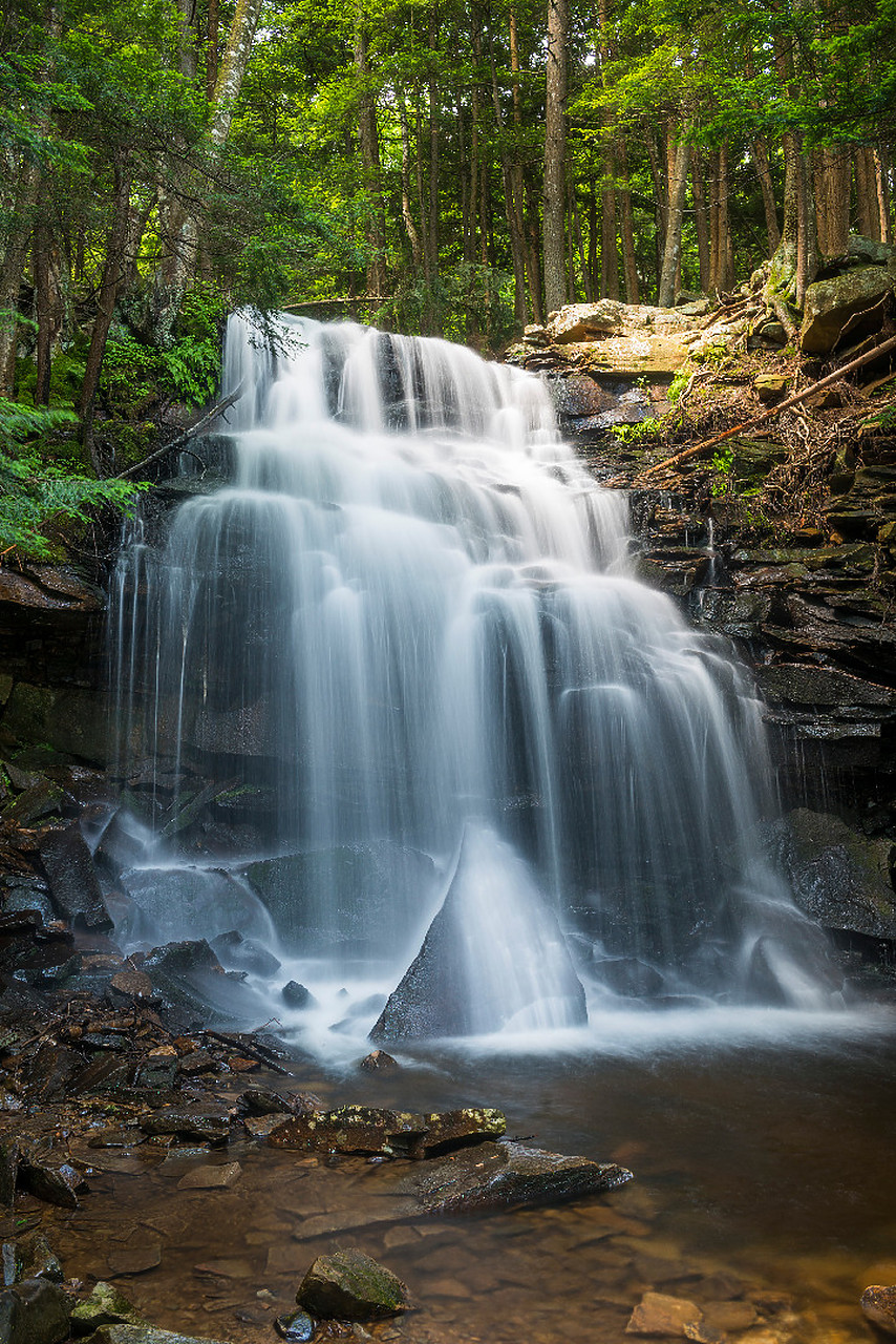 #130257-2 - Dutchman Falls, Sullivan County, Pennsylvania, USA