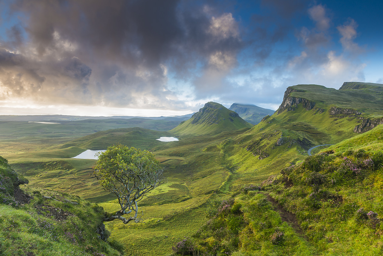 #130287-1 - The Trotternish, Isle of Skye, Scotland