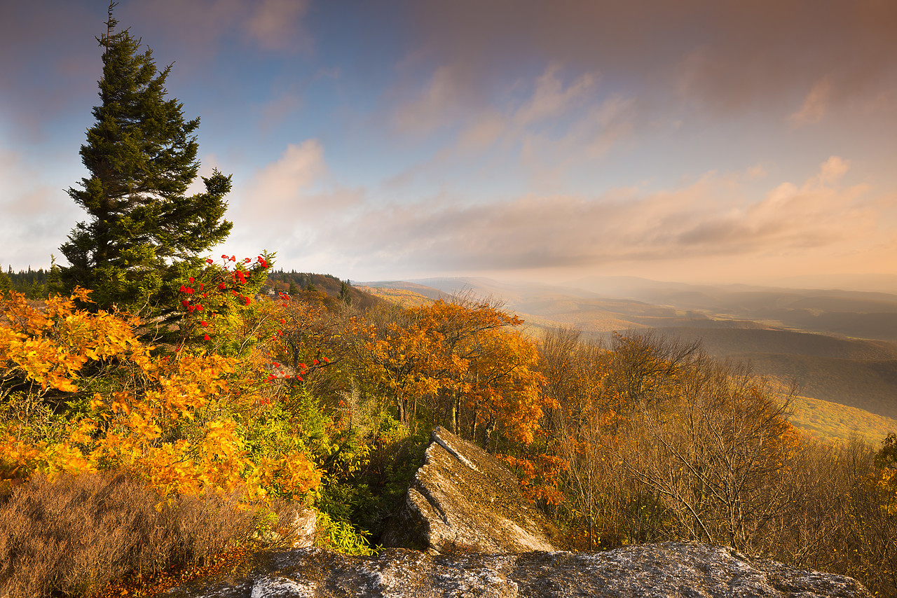 #130349-1 - Bear Rocks in Autumn, Dolly Sods Wilderness, West Virginia, USA