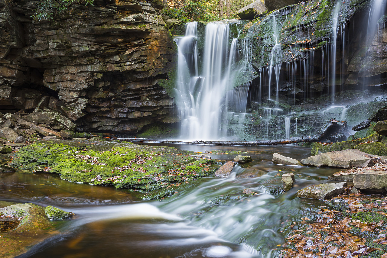 #130352-1 - Elakala Falls, Blackwater Falls State Park, West Virginia, USA