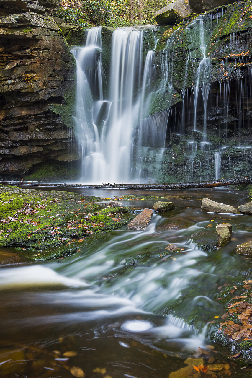 #130352-2 - Elakala Falls, Blackwater Falls State Park, West Virginia, USA