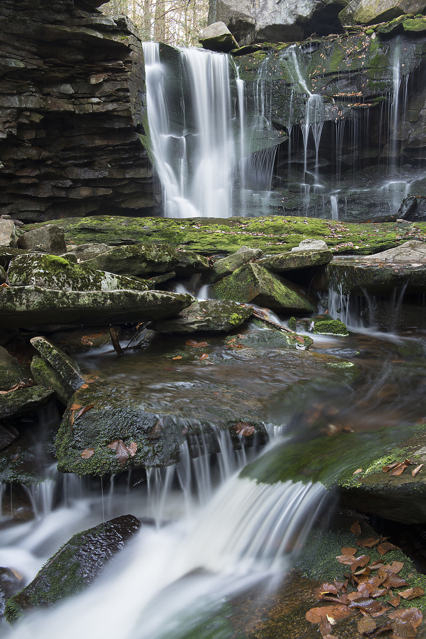 #130353-1 - Elakala Falls, Blackwater Falls State Park, West Virginia, USA